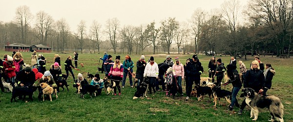 SportsArt Dog Days Dog Days