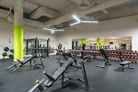 Calypso Fitness Półwiejska - Poznań #1