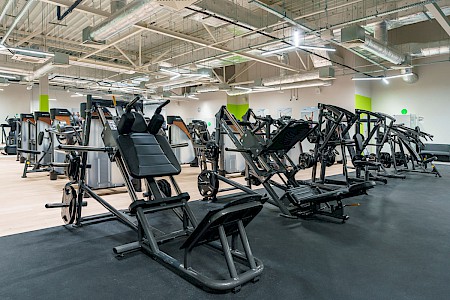 Calypso Fitness - Czeladź #1