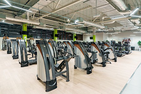 Calypso Fitness - Czeladź #1