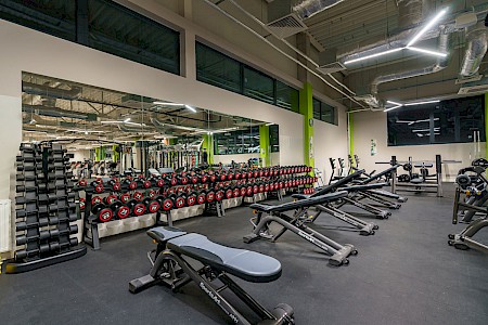 Calypso Fitness - Czeladź #1