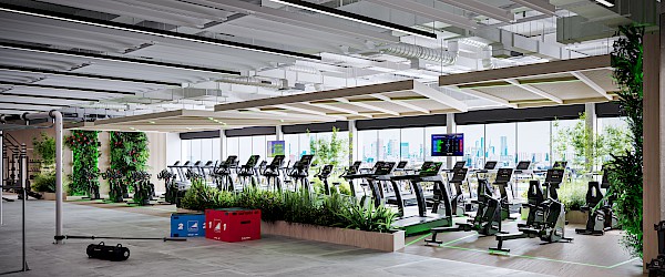 ECO-POWR w Szczecinie - Ekologiczna siłownia May Way fitness