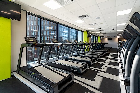 Calypso Fitness - Brama Miasta Łódź #1